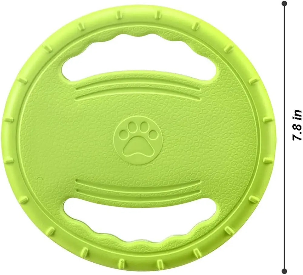 Flying Disc Dog Training
