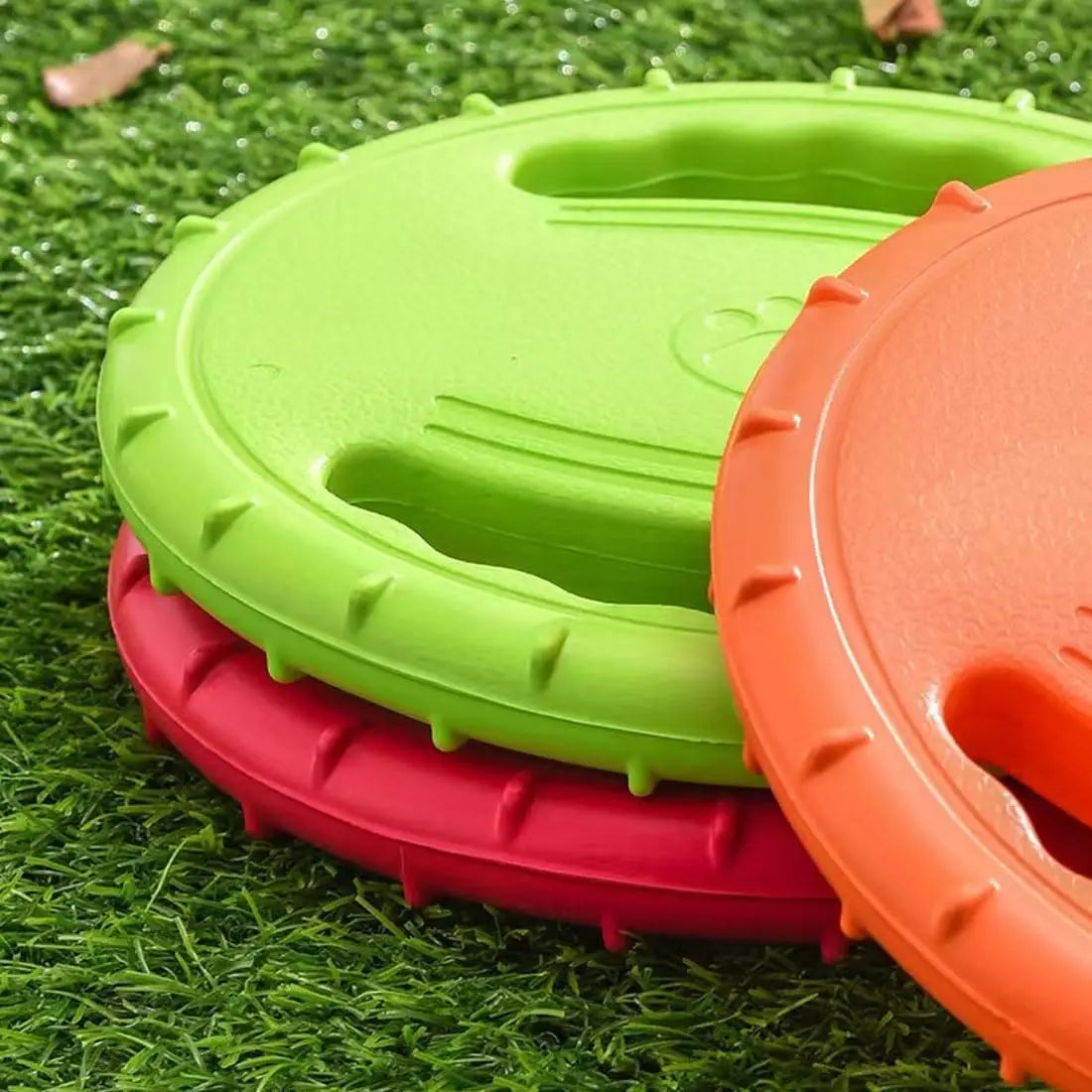 Flying Disc Dog Training