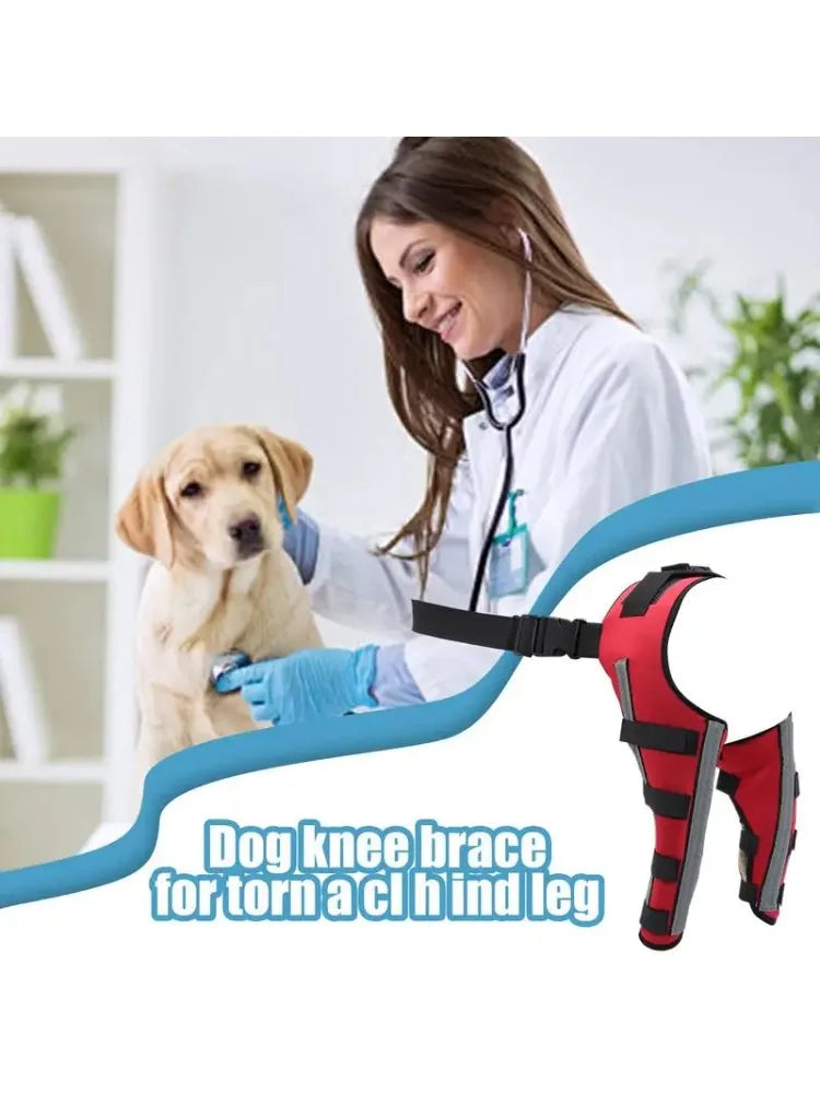 Dog Knee Brace for Torn Acl Hind Leg Support with Cruciate Ligament Injury, Adjustable Strap Leg Brace for Relieve Joint Pain