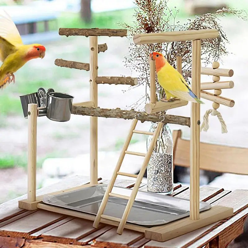 Parakeet Playground