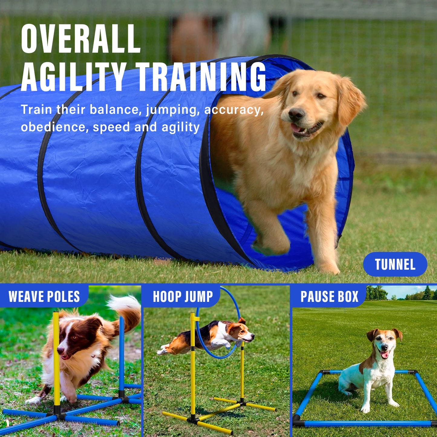 Dog Agility Course Backyard Set