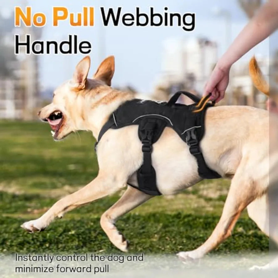 Escape Proof Harness for Large Dogs