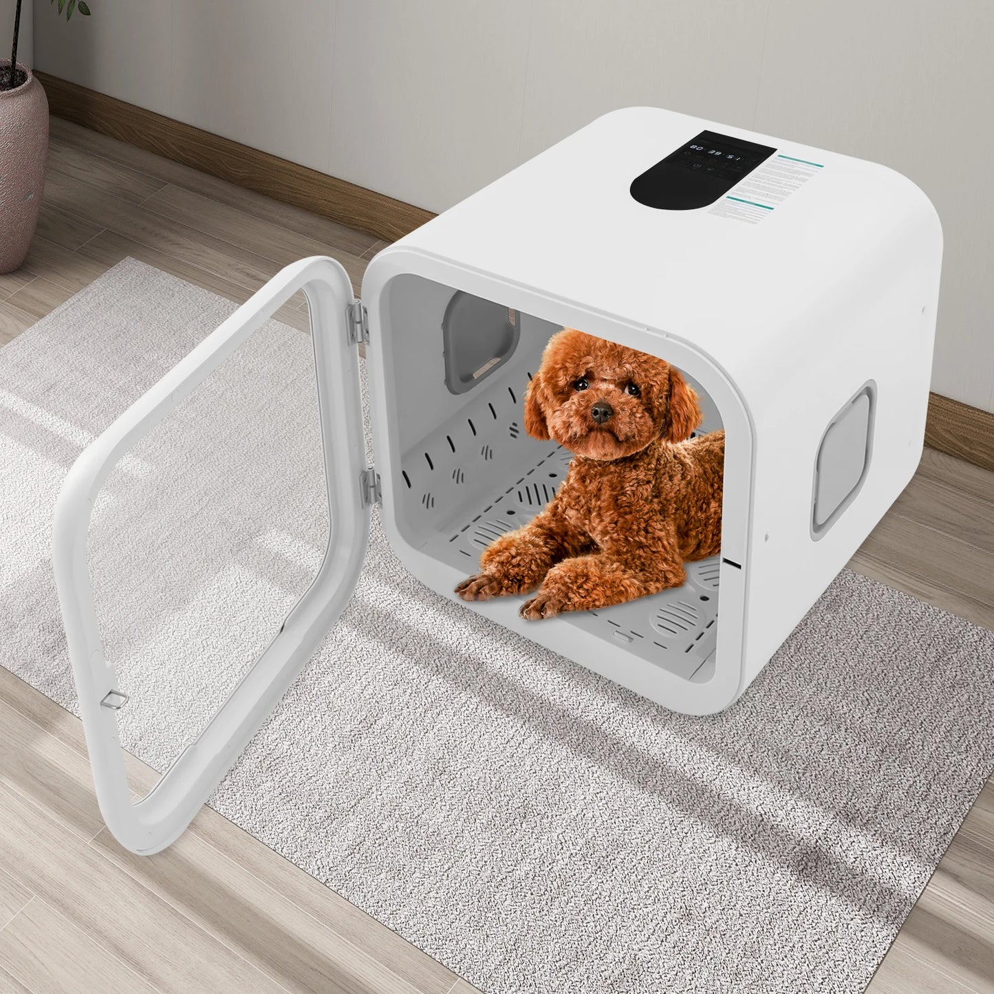 800W Pet Dryer Box