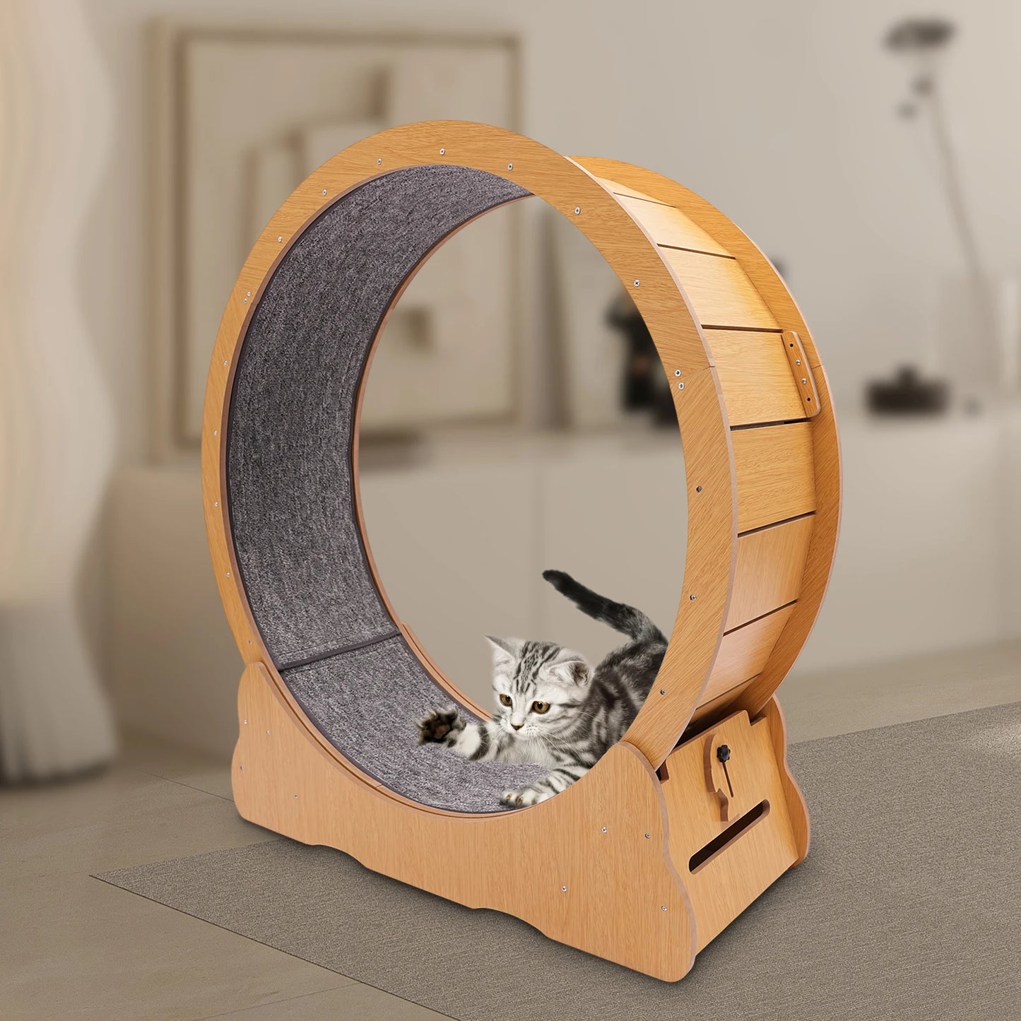 Wooden Cat Exercise Wheel