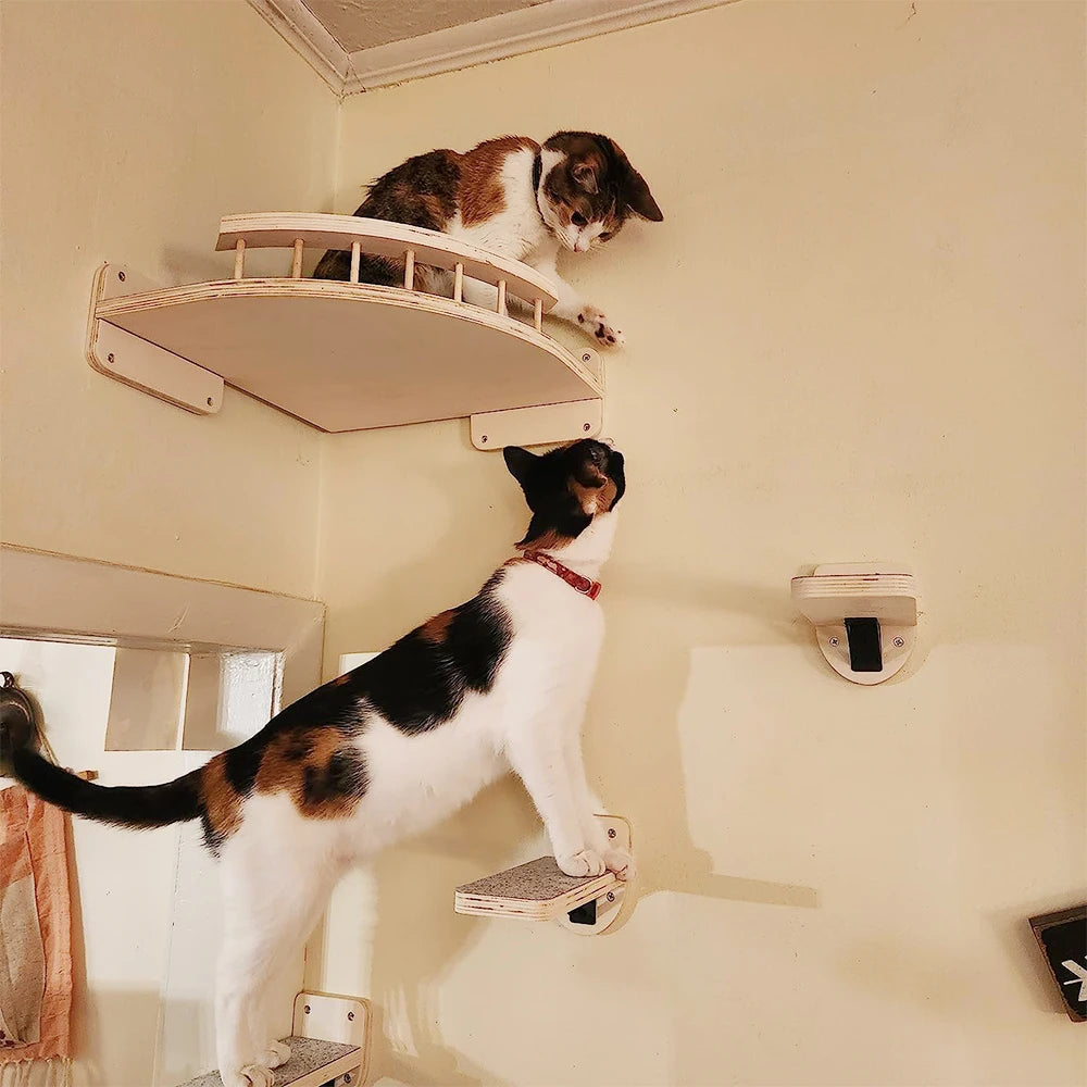 Cat Wall Mounted Furniture