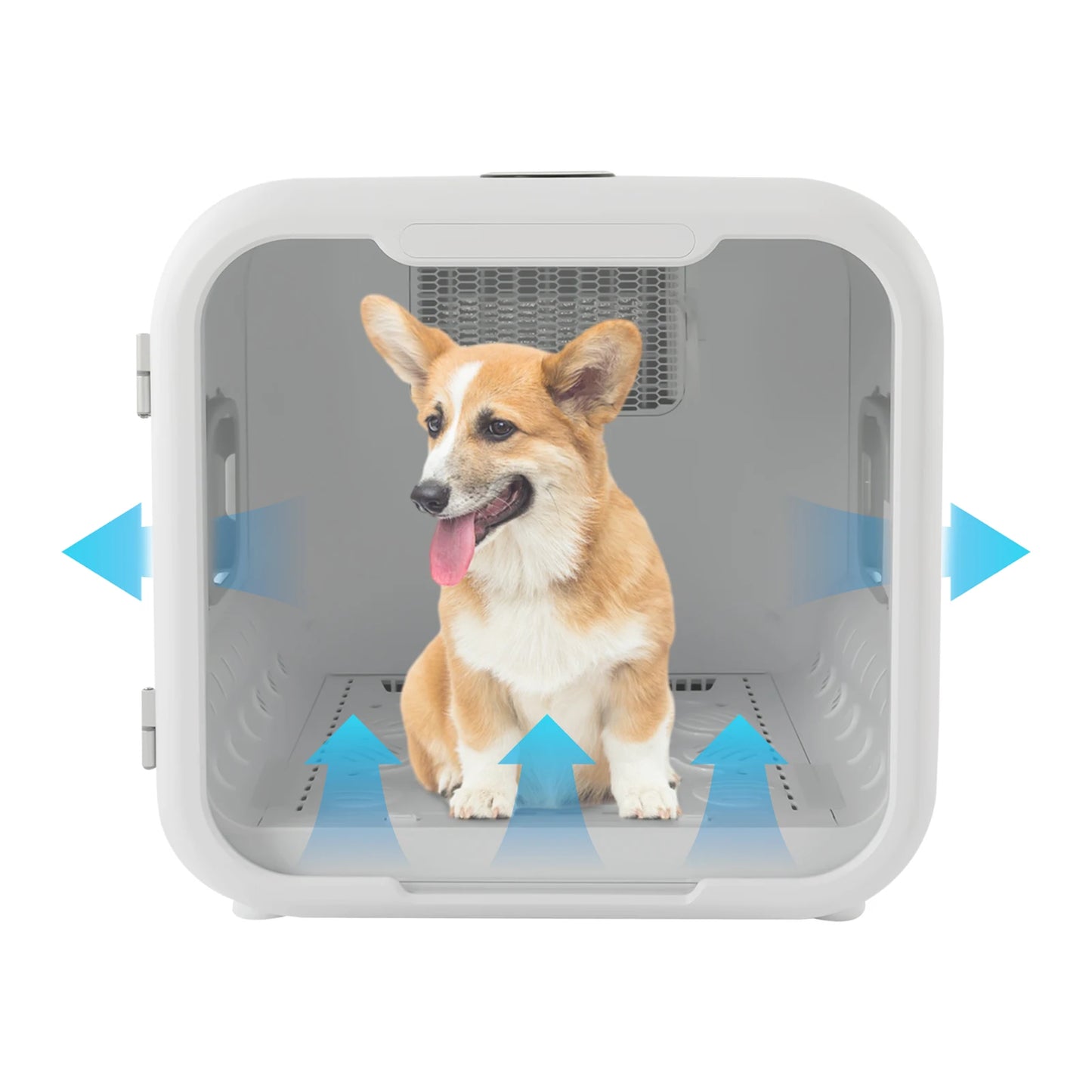800W Pet Dryer Box