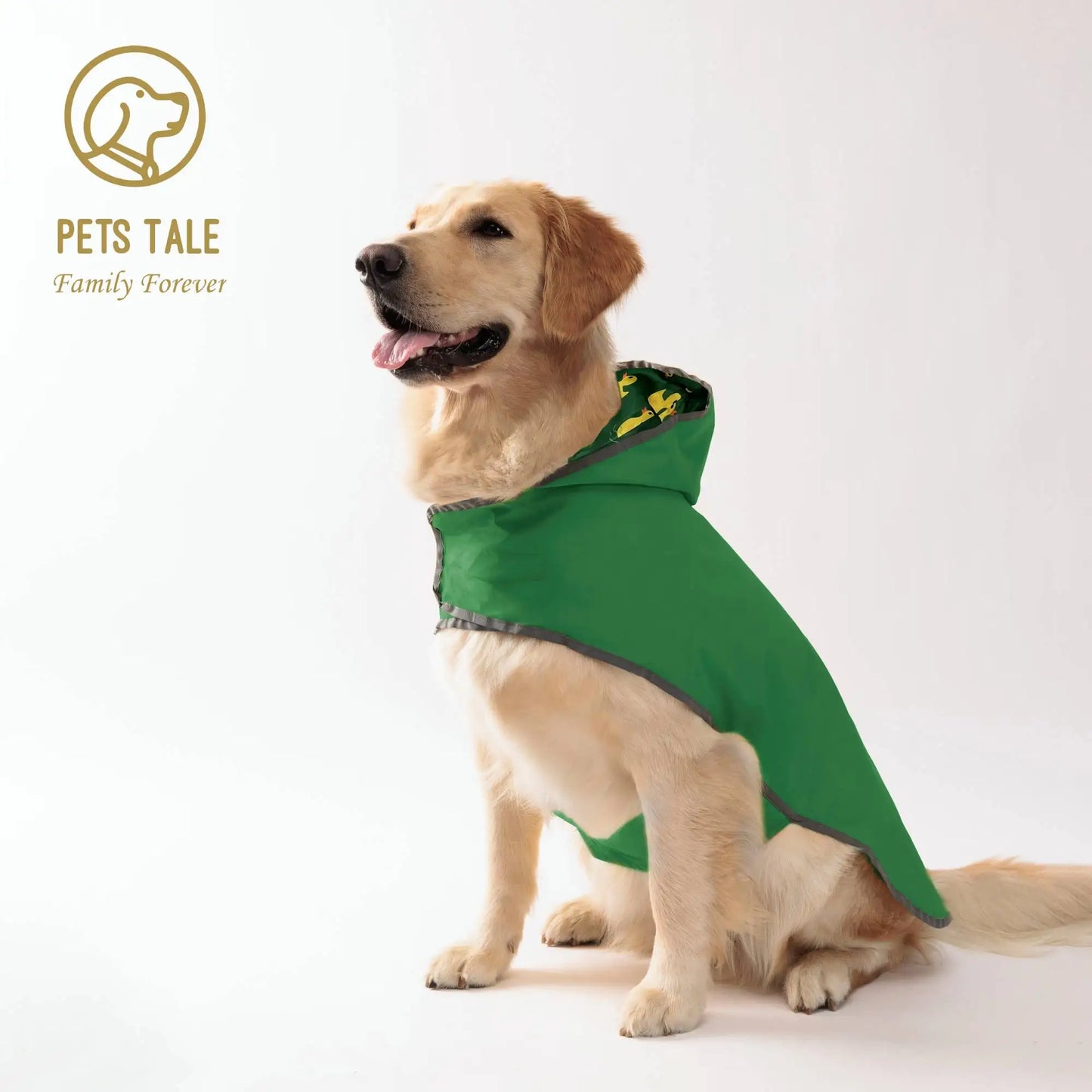 All Weather Dog Raincoat