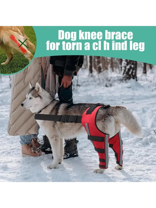 Dog Knee Brace for Torn Acl Hind Leg Support with Cruciate Ligament Injury, Adjustable Strap Leg Brace for Relieve Joint Pain