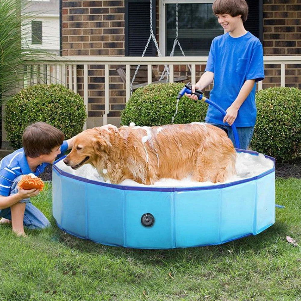 Dog Swimming Pool or Pool Cover