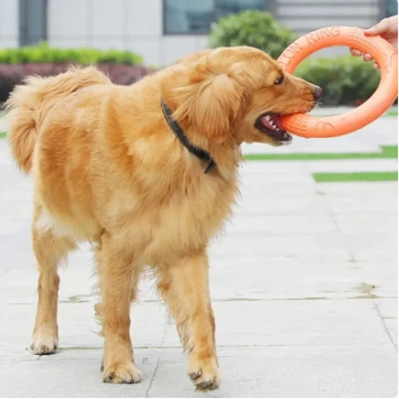 Orange Dog Pet Flying Disk Training Ring