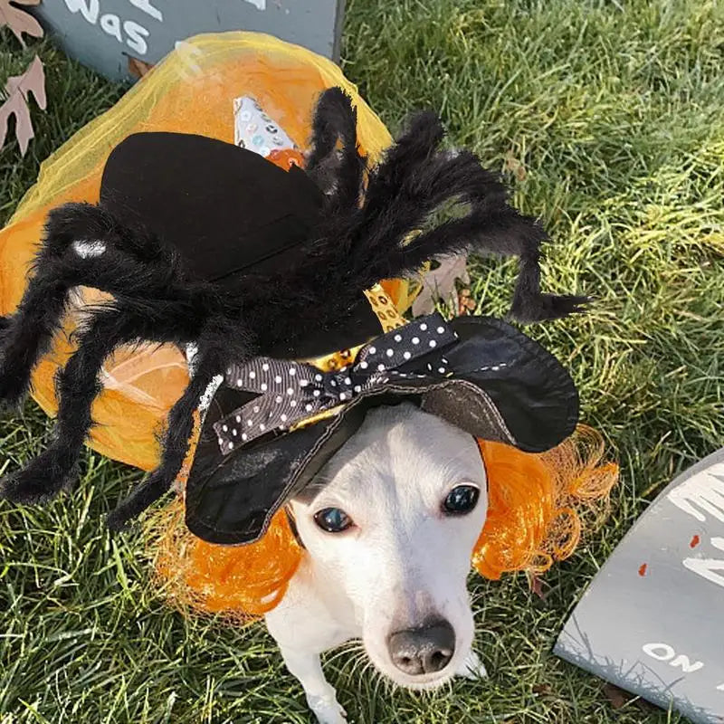 Spider Costume For Dogs Cats Puppies