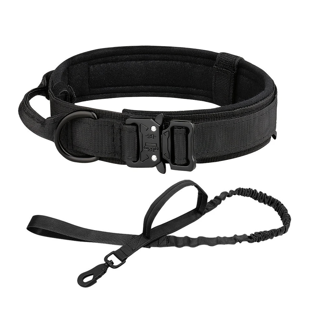Dog Training Collar