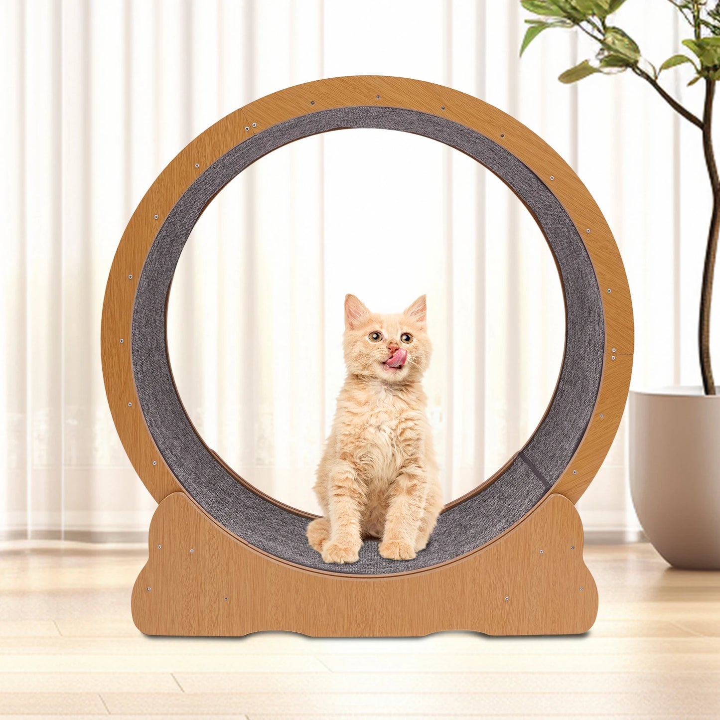Wooden Cat Exercise Wheel