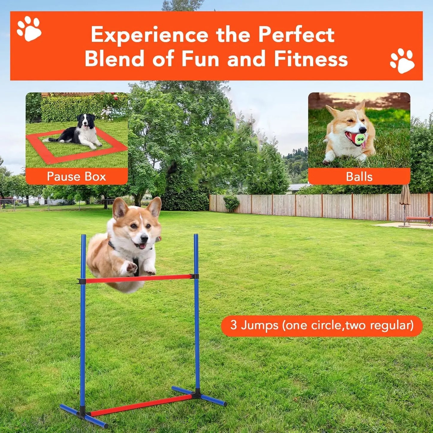 Dog Agility Training Obstacle Course Set