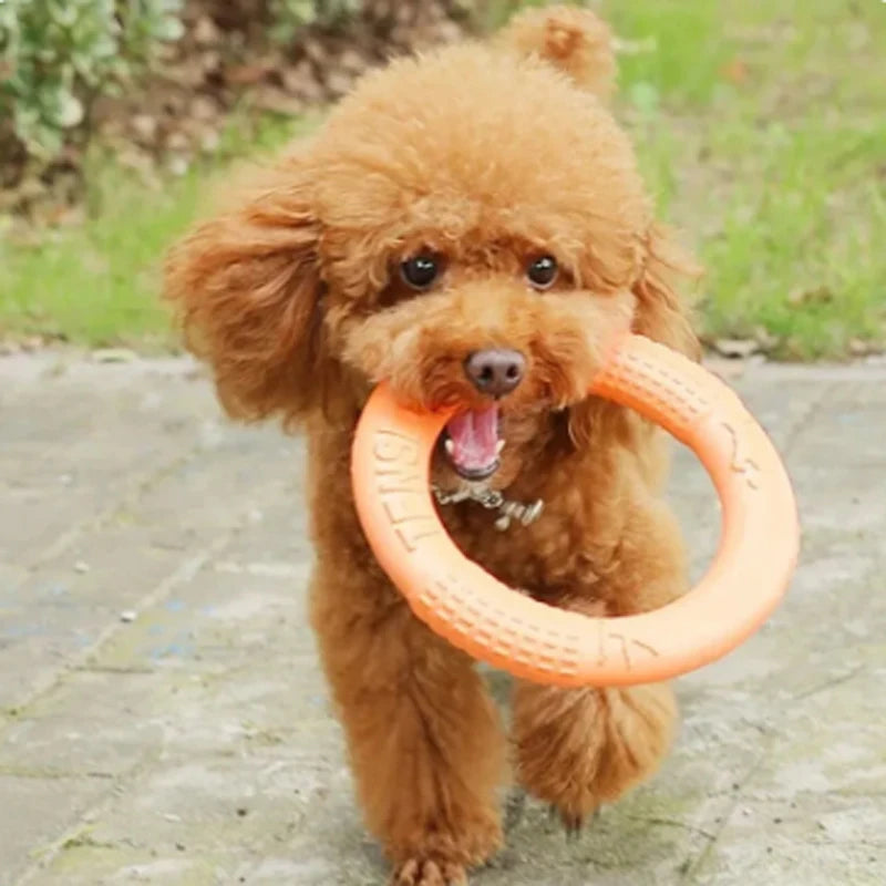 Orange Dog Pet Flying Disk Training Ring