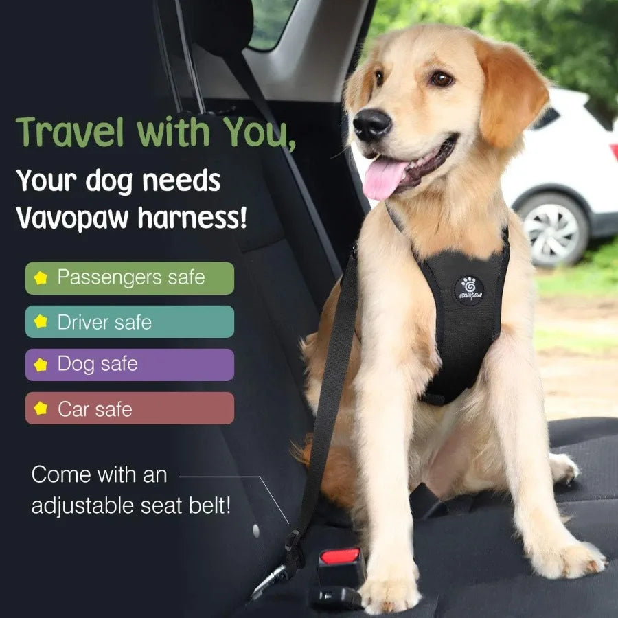 Dog Seat Belt Vest