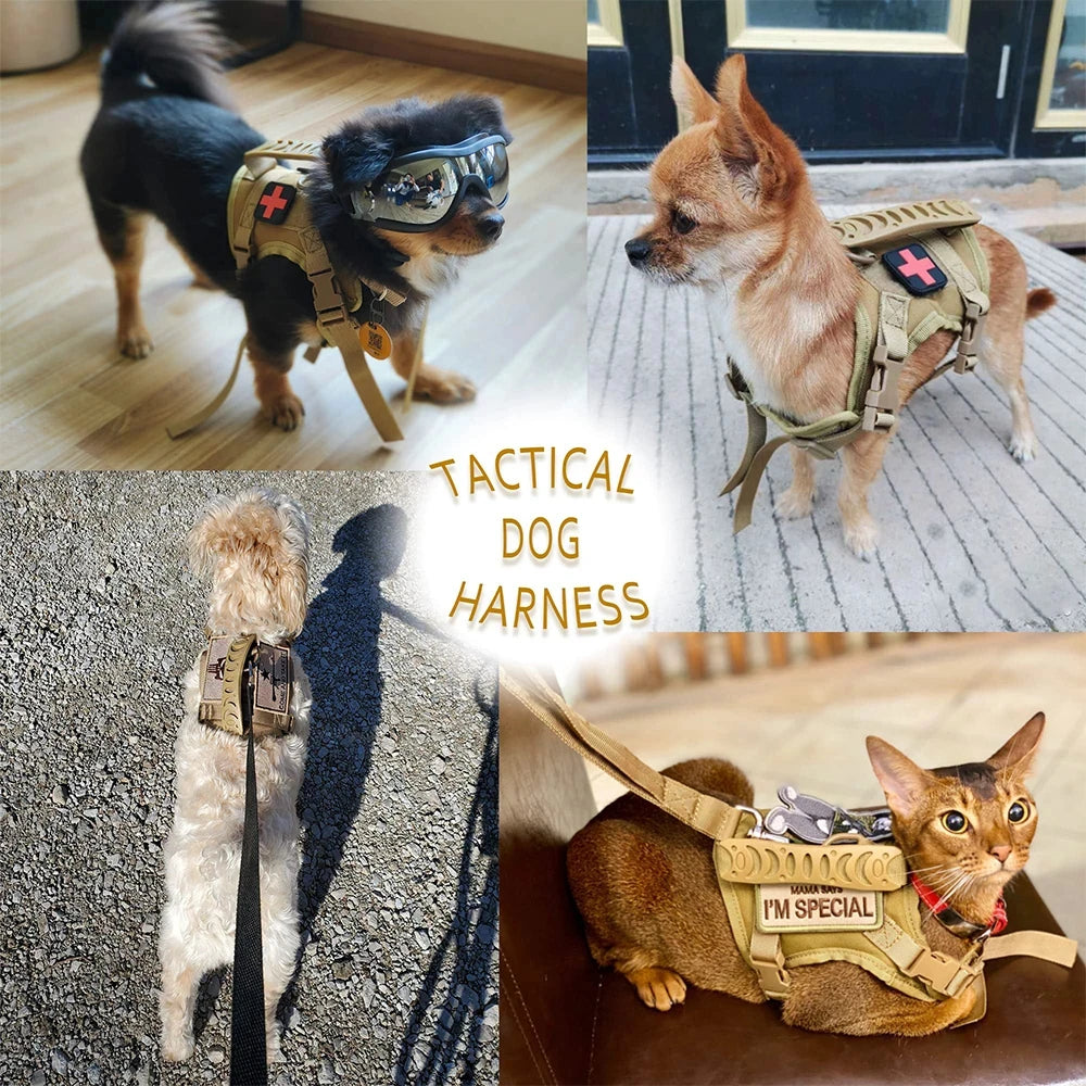 Tactical Puppy  Cats Harness Leash Set