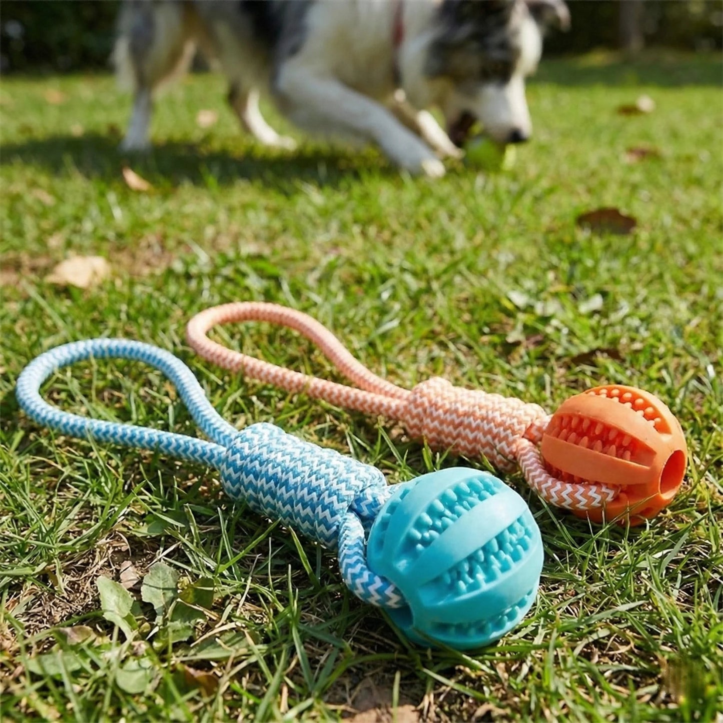 1-Pack Dog Puzzle Toy
