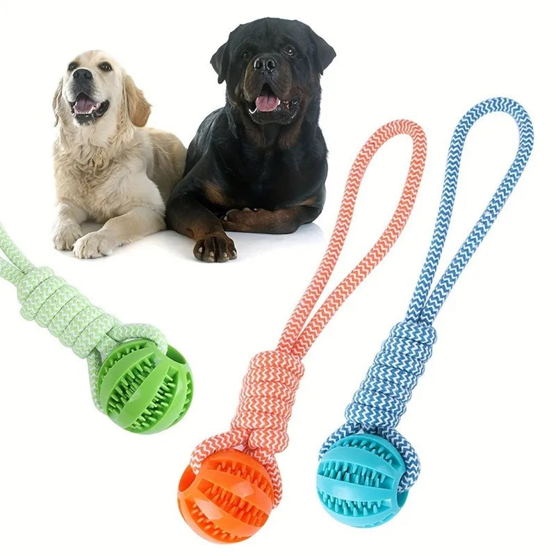 1-Pack Dog Puzzle Toy