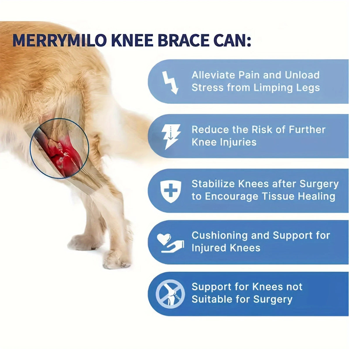 Adjustable Dog Knee & Leg Brace