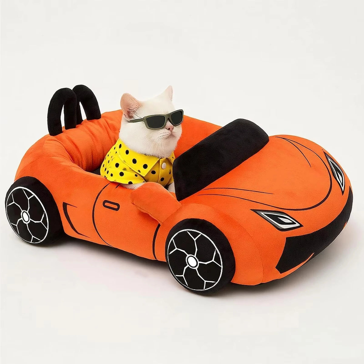 Funny Cat and Puppy Beds