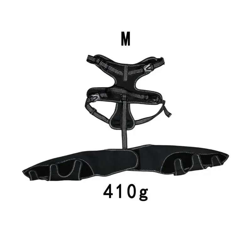 Dog Knee Brace Pet Orthopedic