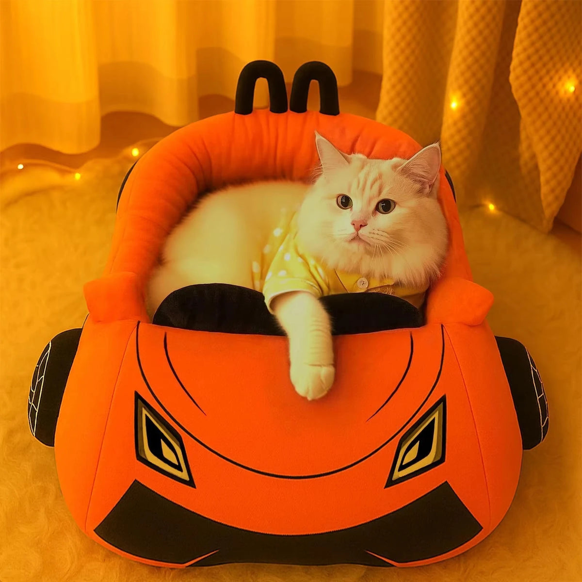 Funny Cat and Puppy Beds