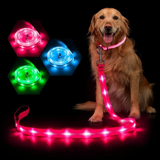 Light Up Dog Leash