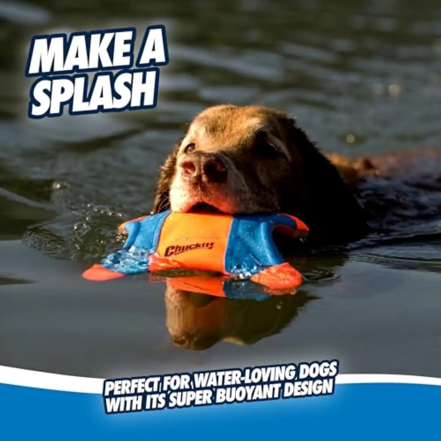 Water Floating Fetch Dog Toy