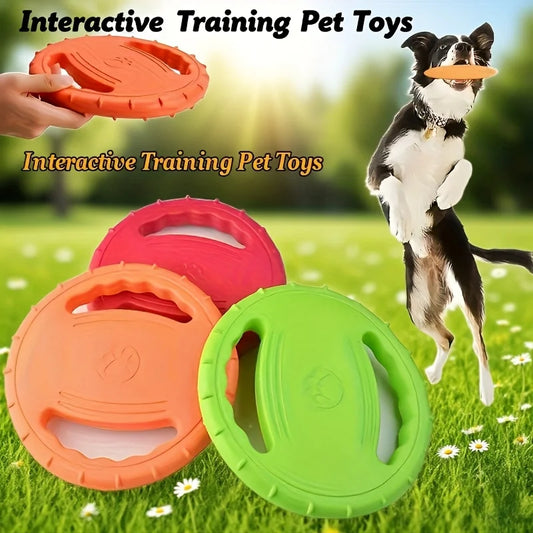 Flying Disc Dog Training