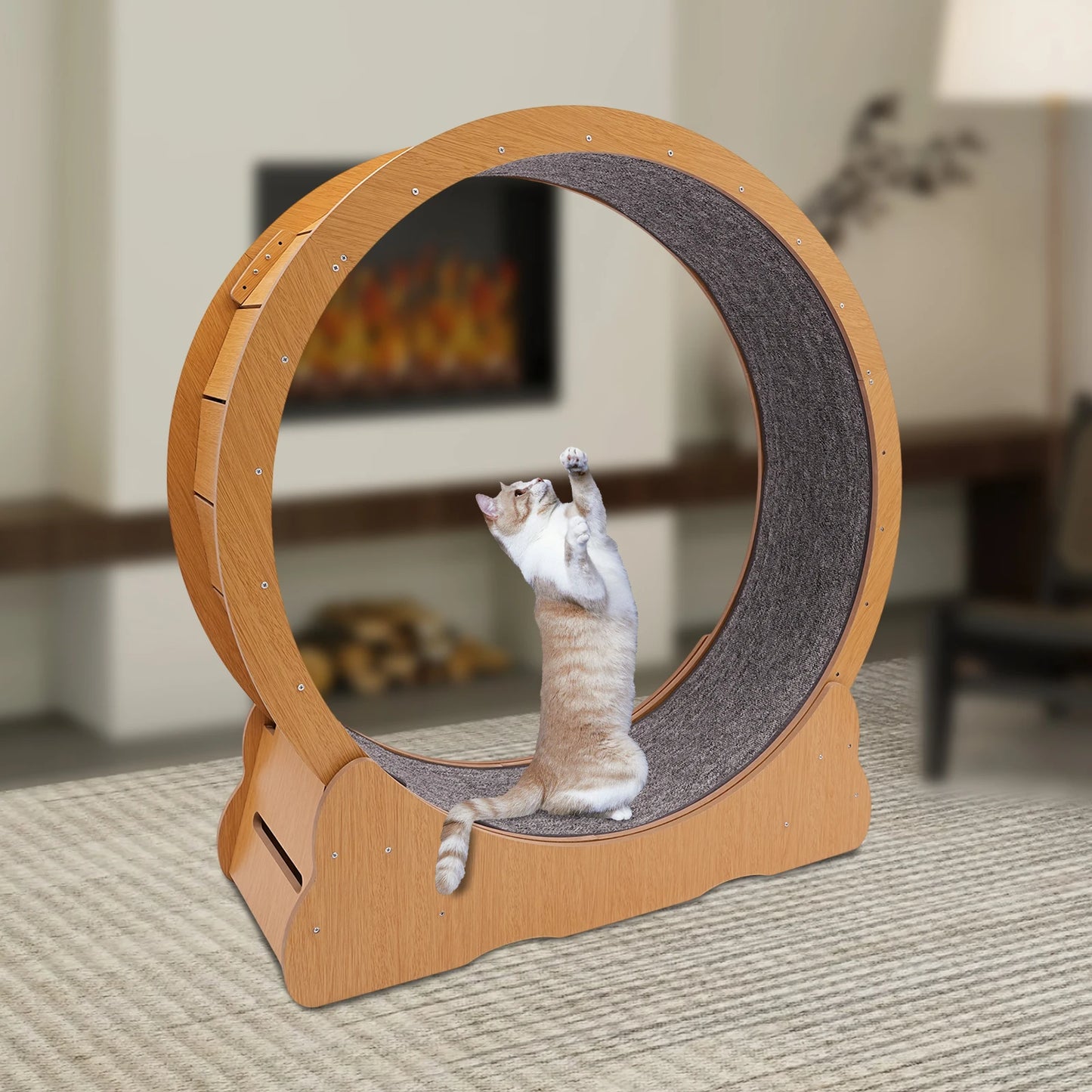 Wooden Cat Exercise Wheel