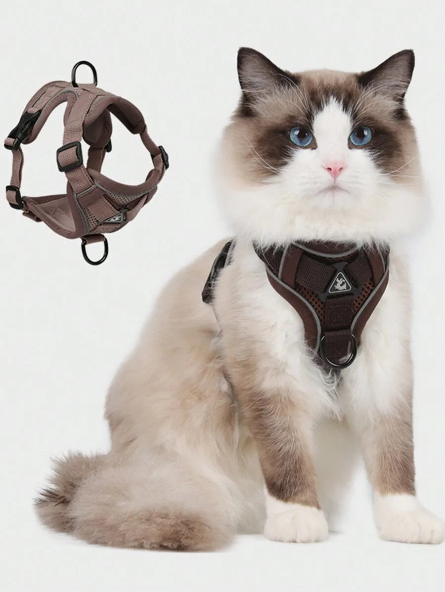 Pet Harness And Leash Set