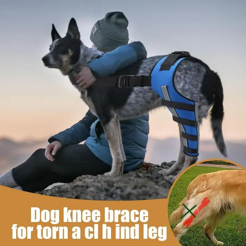 Dog Knee Brace for Torn Acl Hind Leg Support with Cruciate Ligament Injury, Adjustable Strap Leg Brace for Relieve Joint Pain