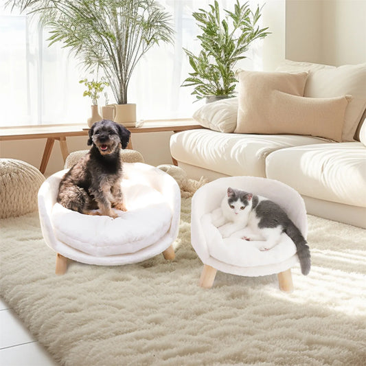 Small Pet Couch