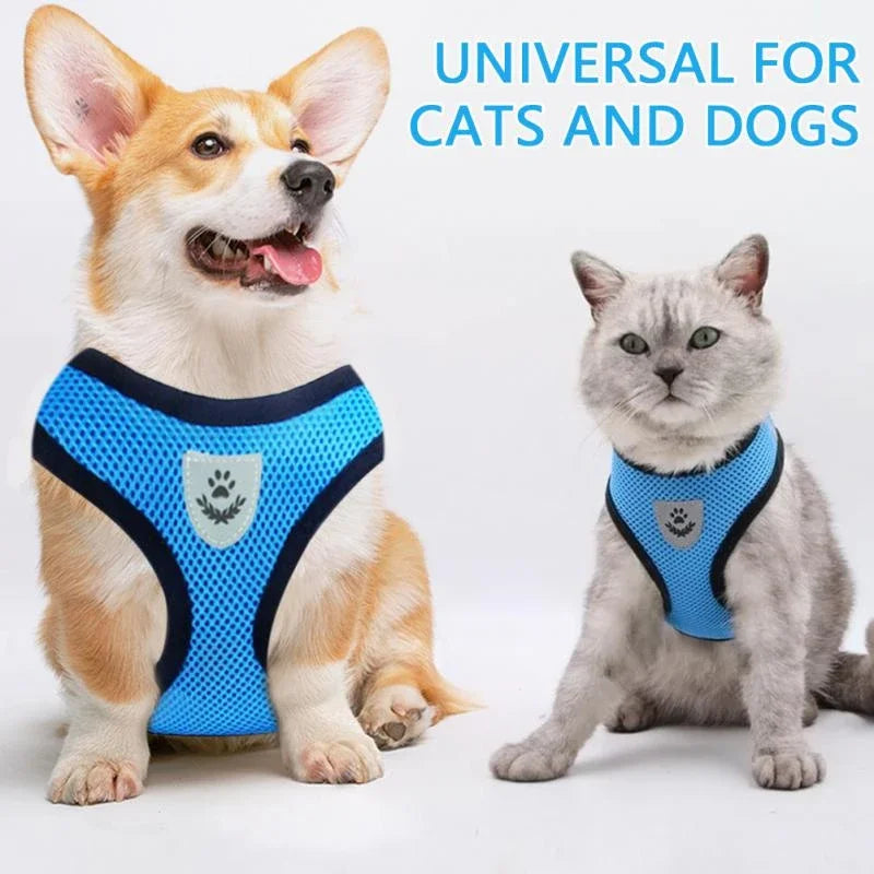 Cat Dog Pet Harness